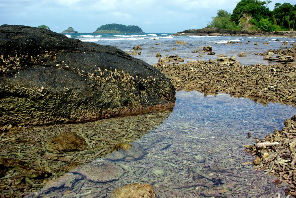 Frankland Islands by Joan Kleynhans