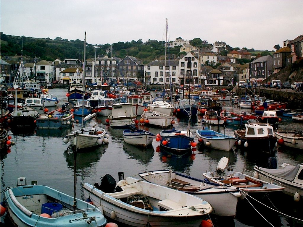 Mevagissey, Cornwall. by Tony Stafford