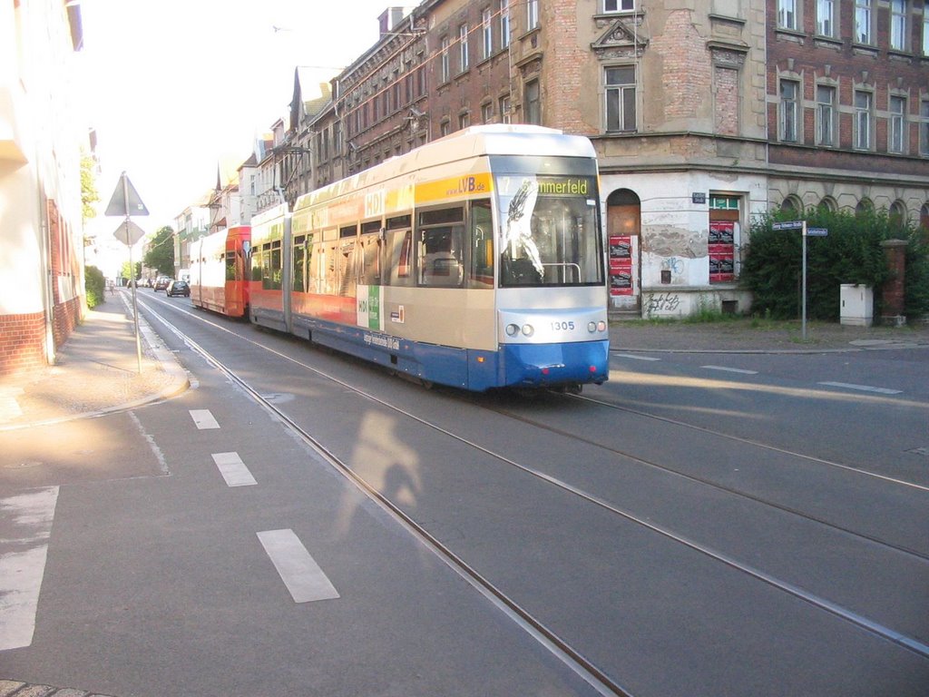 Leutzsch, Leipzig, Germany by Miklós Róbert