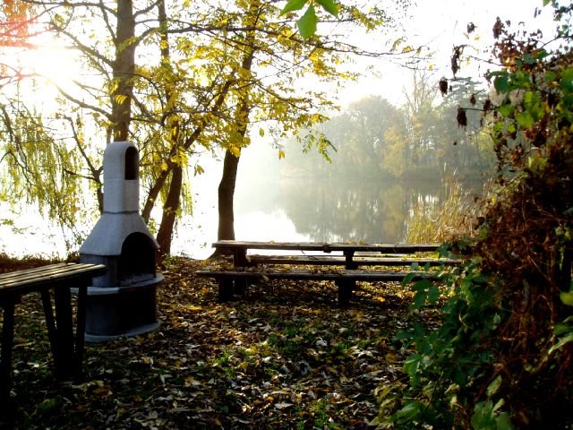 Schlosssee im Herbst by U.Wi.