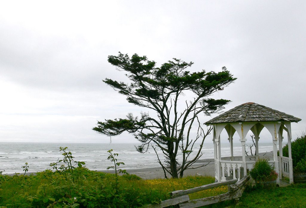 Kalaloch Beach by jiangliu