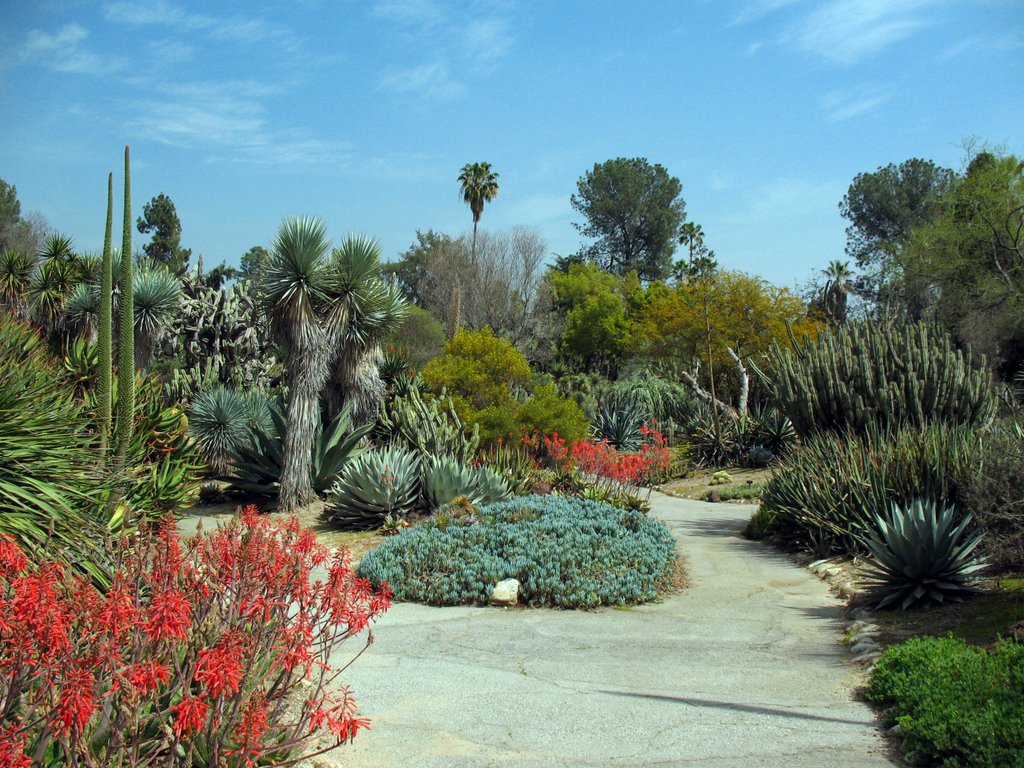 Huntington Gardens- Desert Garden #1 by Thorium.handler