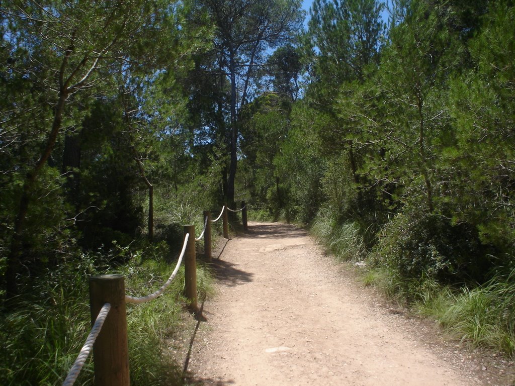 Camino a la Macarella by Mari Santos Tripi