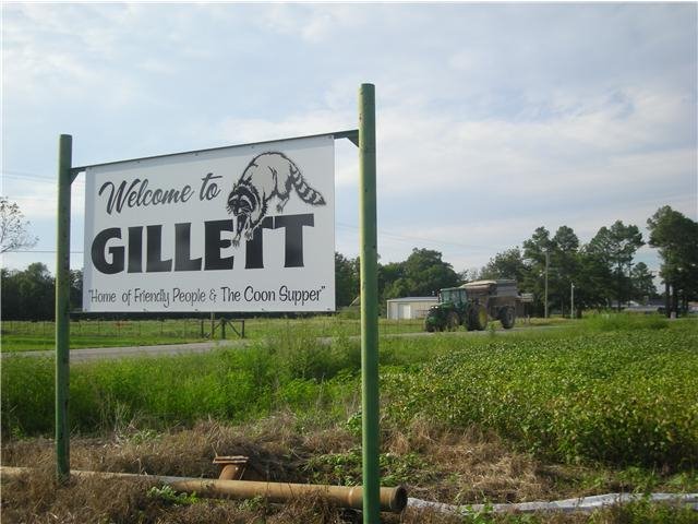 Welcome to Gillett! by justusknoppers