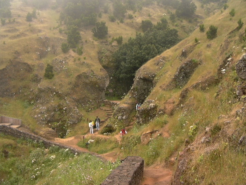 Árbol Garoé, El Hierro by tejinero