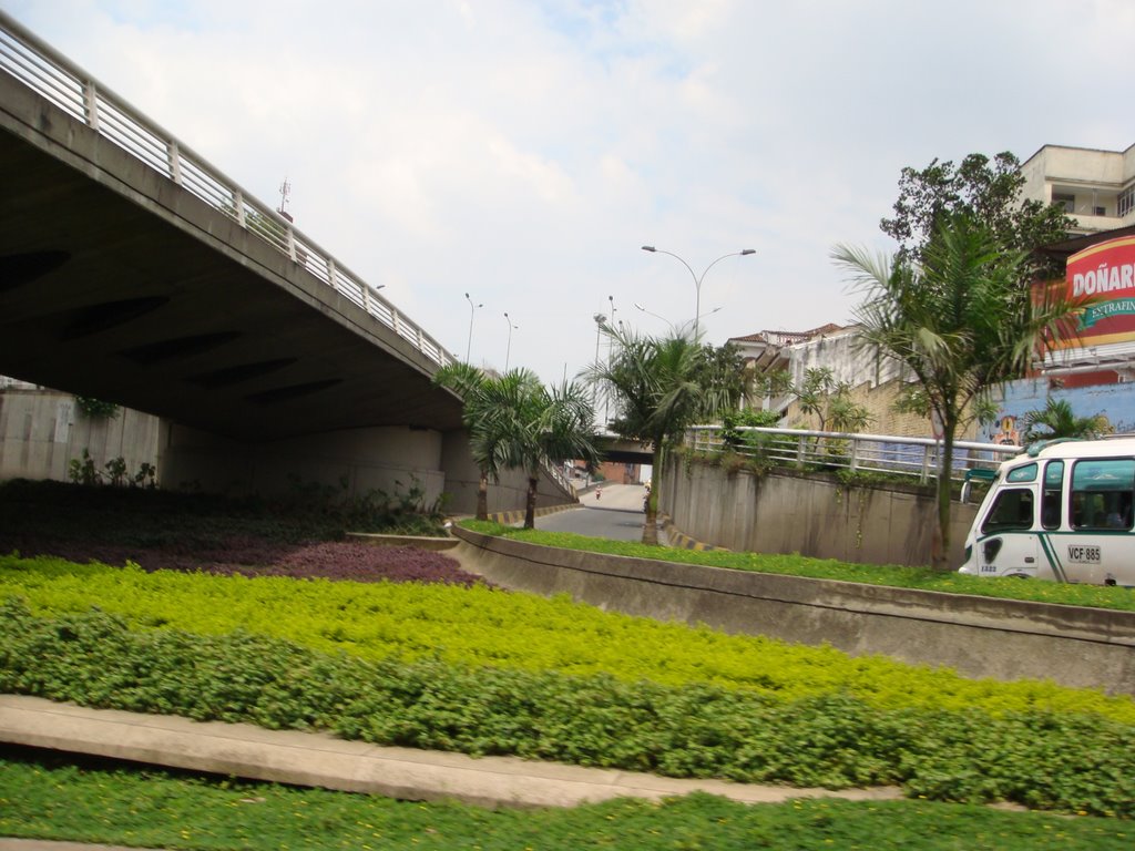 PUENTE VEHICULAR Cll 5 con Av DEL RIO by carlos alberto arango