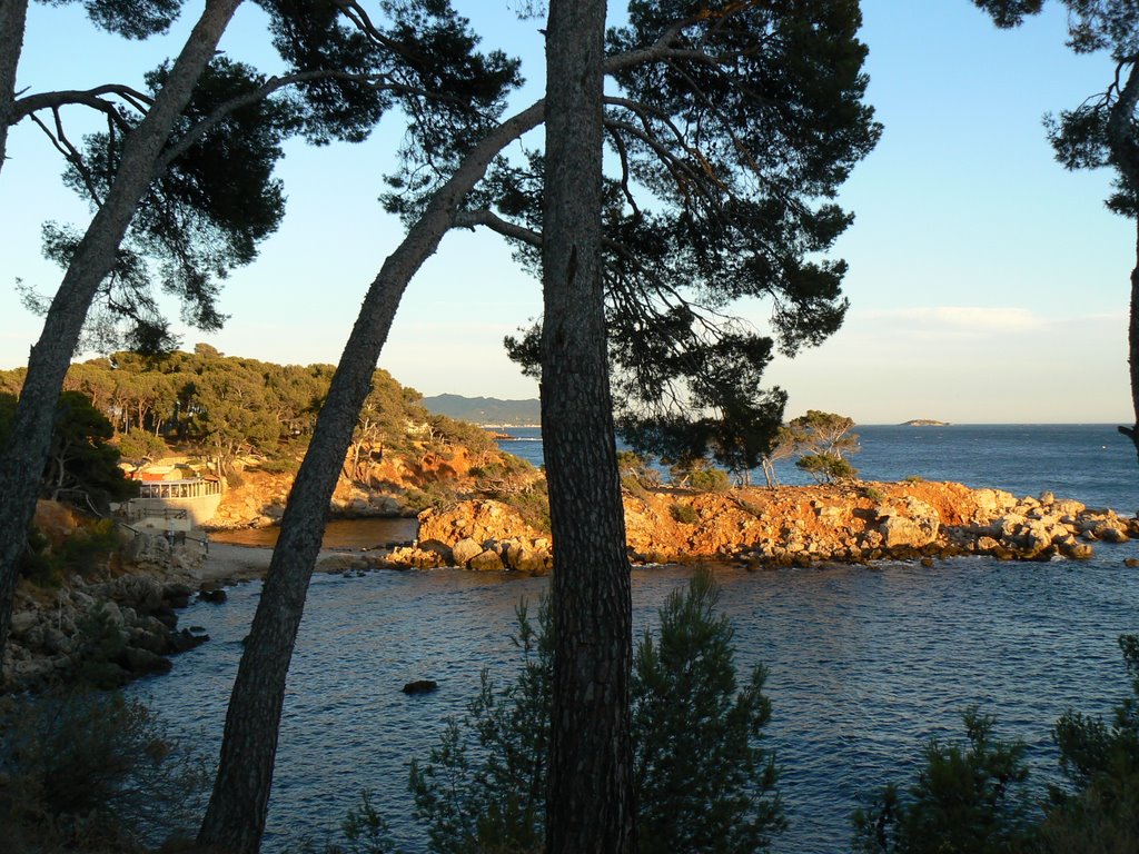 Petite crique de Bandol by François JABOUILLE