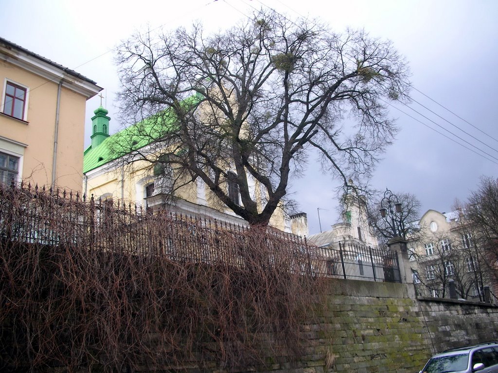 Halytskyi District, Lviv, Lviv Oblast, Ukraine by Gennadiy Telishevsky…