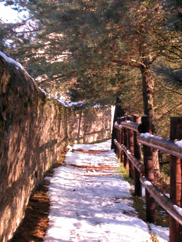 PROMENADE AUTOUR DU CIMETIERE by barray martin