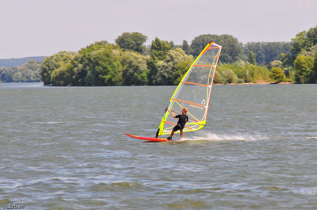 Nähe Oestrich -Rhein- by bartman 575 (bartman…