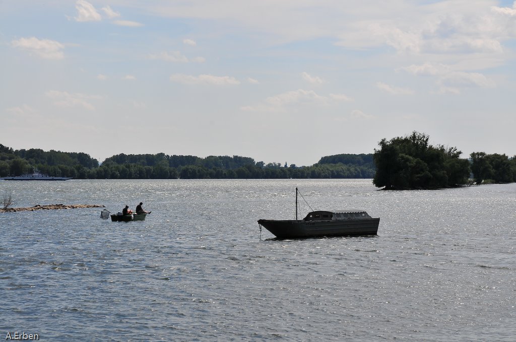 Bei Oestrich -Rhein- by bartman 575 (bartman…