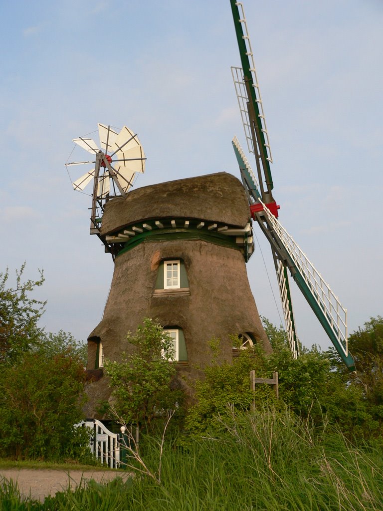 Mühle Charlotte auf der Birk by C. Ott