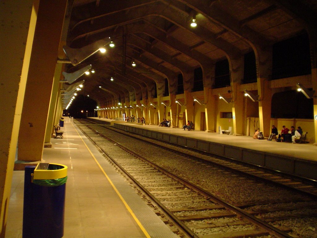 Estacion Rancagua by Cesar Labra I