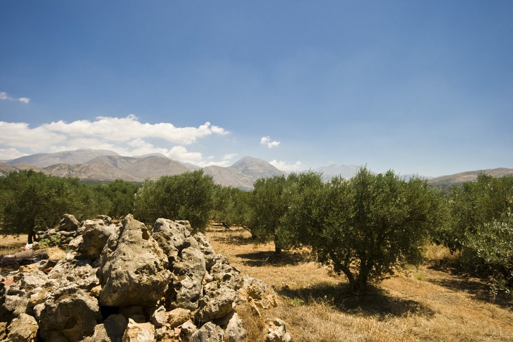 Near Avli, Crete, Greece by Wim Janssen