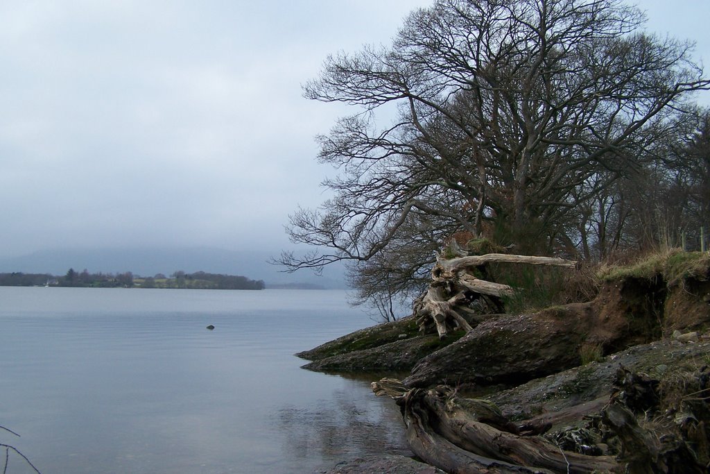 Loch lomond by wiedzmin8