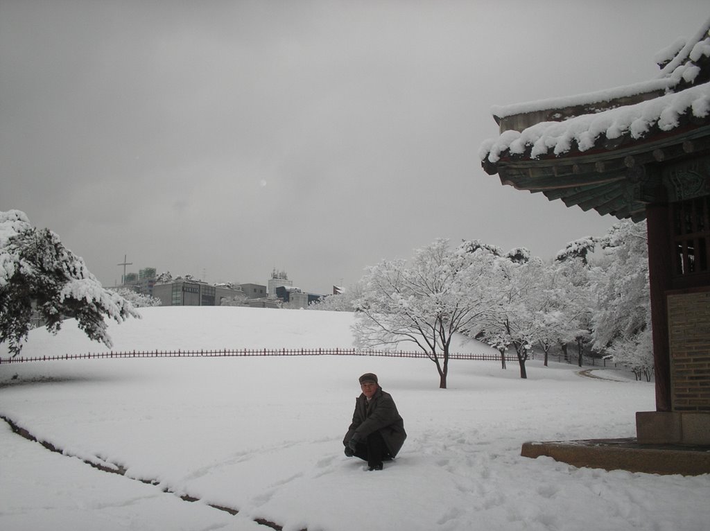 Seolleung Royal Tom Park in Seoul Korea by nguyentuan1234