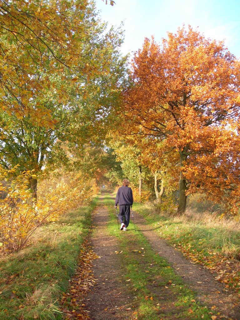 Herfst in de moerputten by slobje