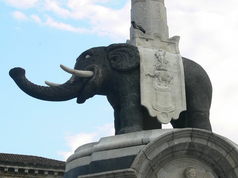 Catania, l'Elefante by Pietro Rapisarda