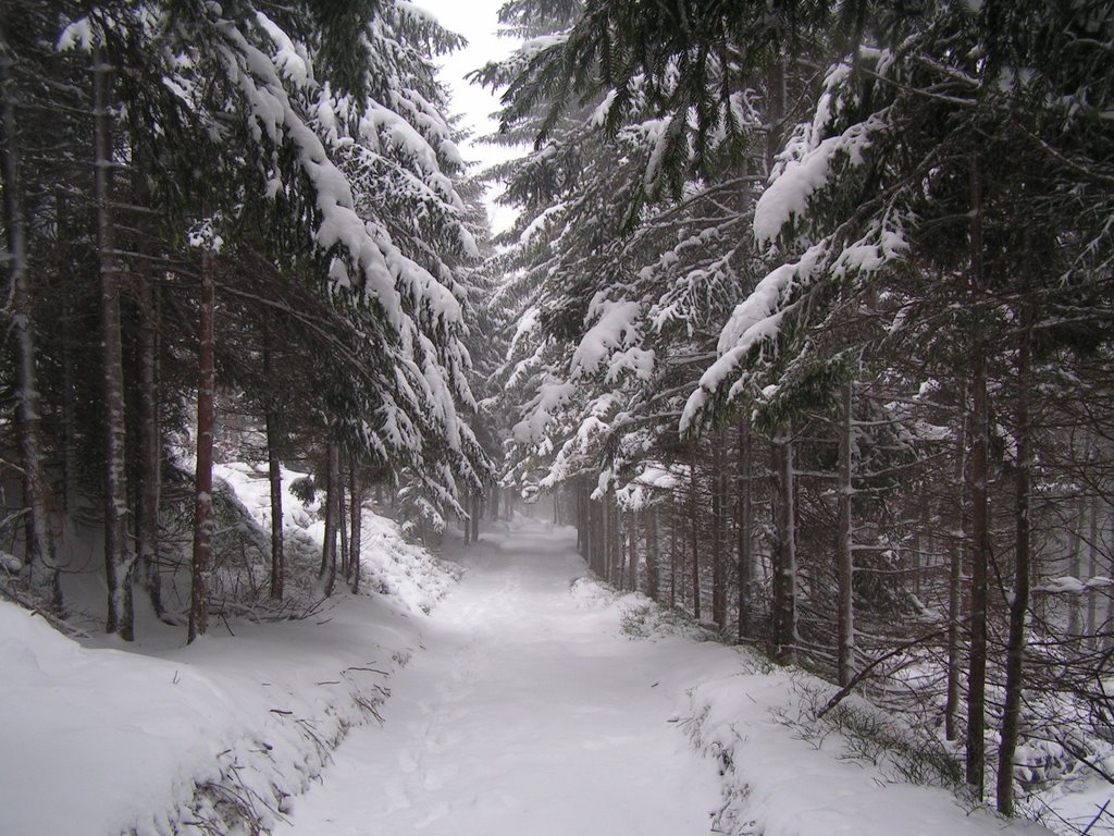 Śnieżka, Polska by pogocka