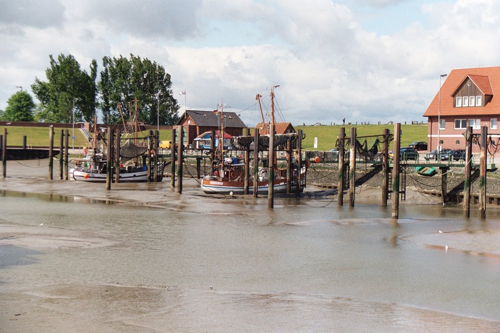 Hafen in Federwardersiel bei Ebbe 01 by Andreas Krings