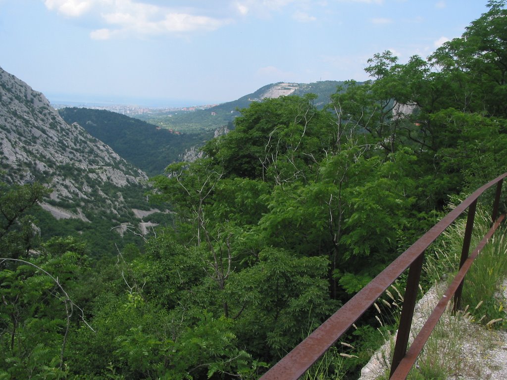 Looking down to the Triest Gulf by guido de dominicis