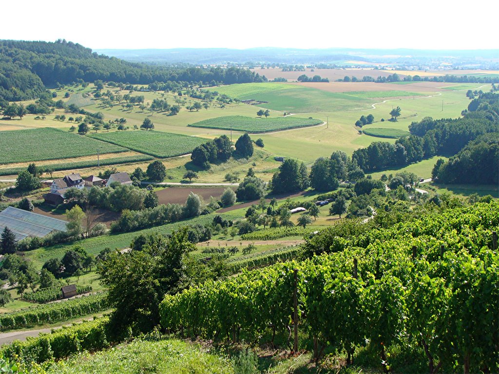 Blick Richtung Knittlingen by Mamoe