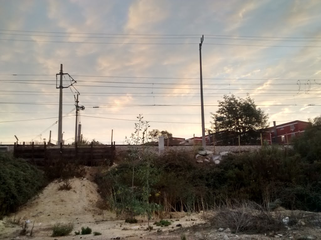 Quilpué, Valparaiso Region, Chile by Gerard San Martin