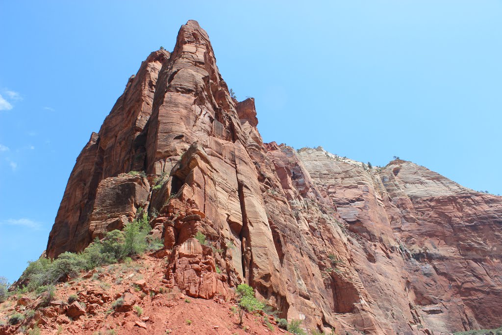 Observation Point from Virgin River by Aaron Zhu