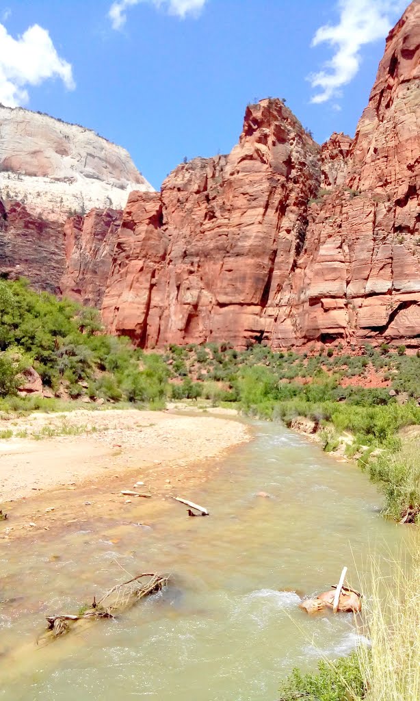 Virgin River at Big Bend by Aaron Zhu