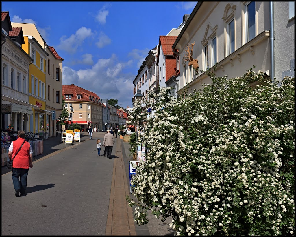 Burg bei Magdeburg, Schartauer-Straße. by Der Burger JL