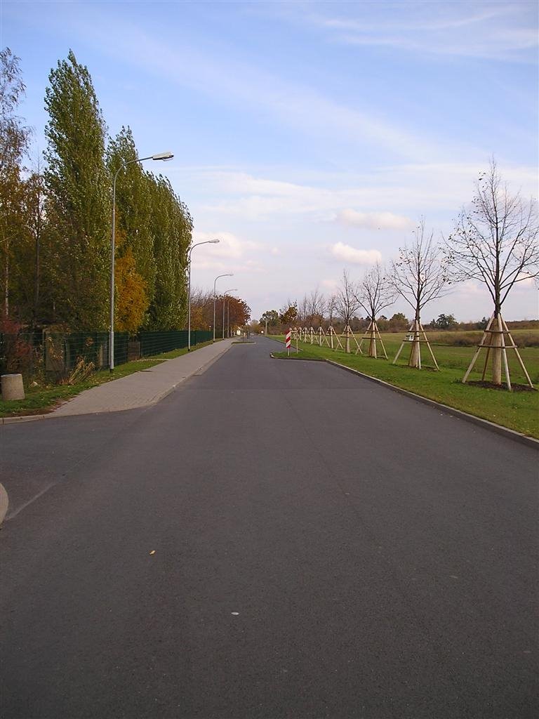 Nemsdorfer Weg Richtung Osten by Ascarel