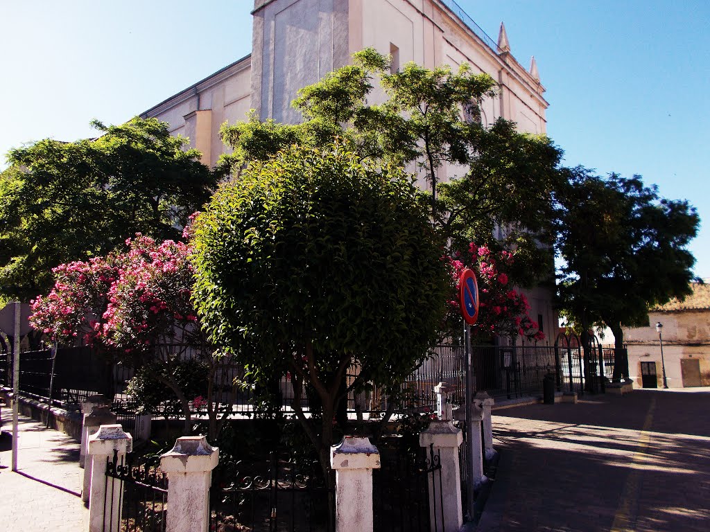 Jardines de la parroquia by serfuen