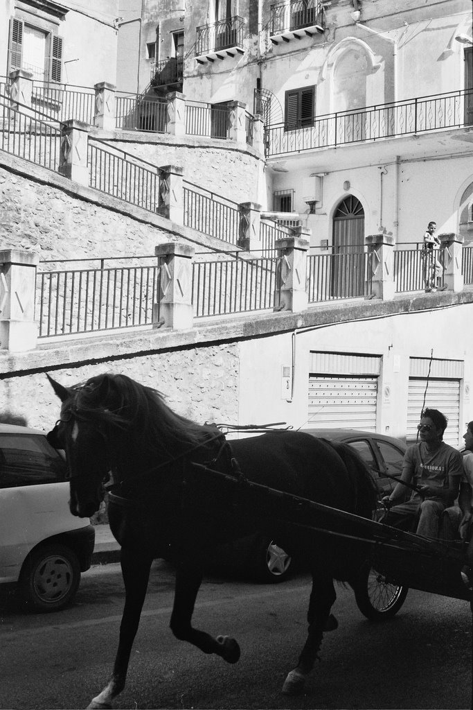 Carrozza per le vie di Sciacca by simogiocolo