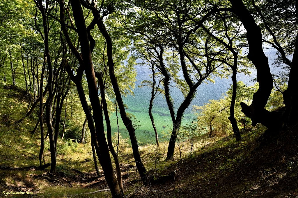 Nationalpark Jasmund | Rügen by gschwandtner bua