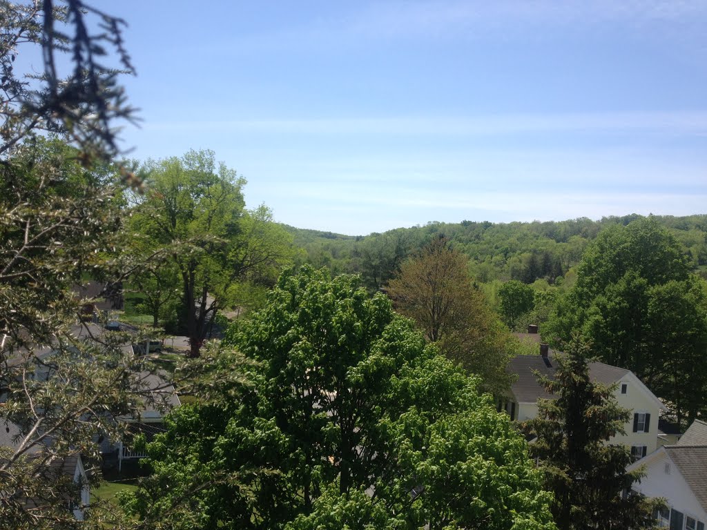 Looking South out of Library Tree - 80' Up by BrianWrightson