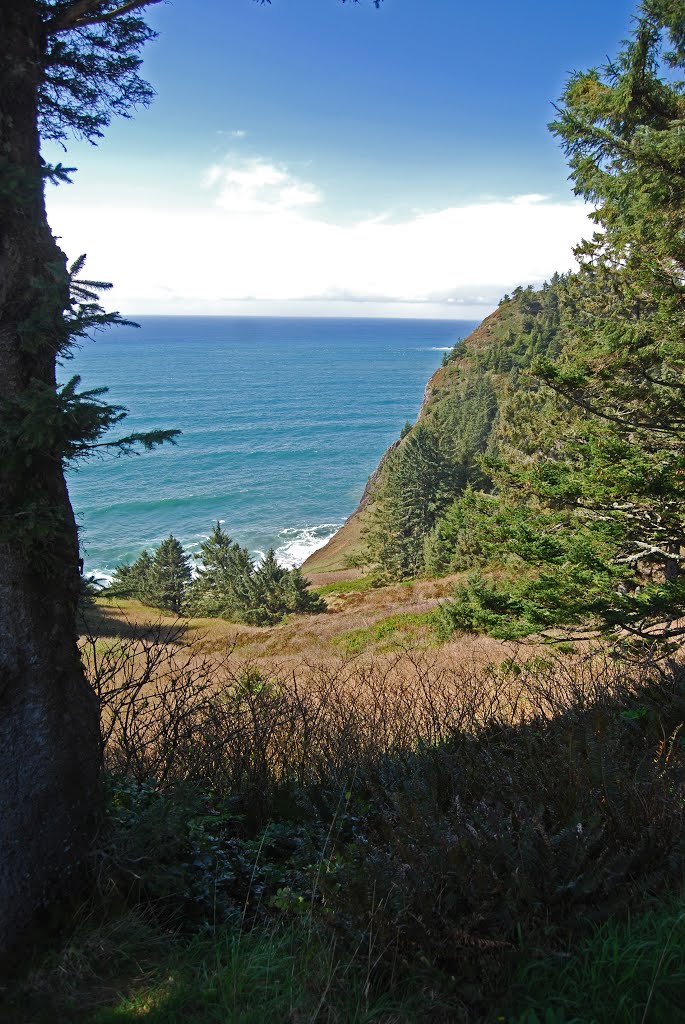 Oswald West State Park, Neahkahnie Mountain by Jim Nieland