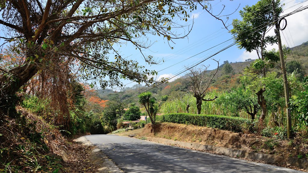 Alto Cima, Provincia de Alajuela, Atenas, Costa Rica by latforum