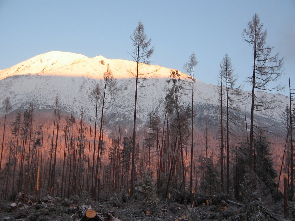 Vysoké Tatry - po víchrici by Isvara