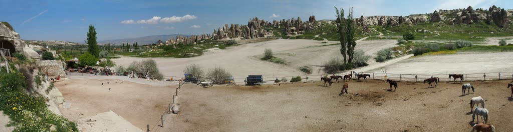 Panaroma horses cappadocia by Erşad Haksever