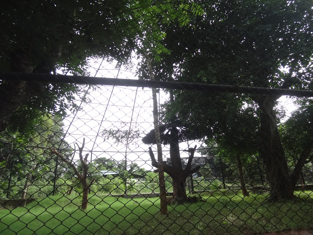 Nandan Kanan Zoological Park, Bhubaneswar, Odisha by sban1998