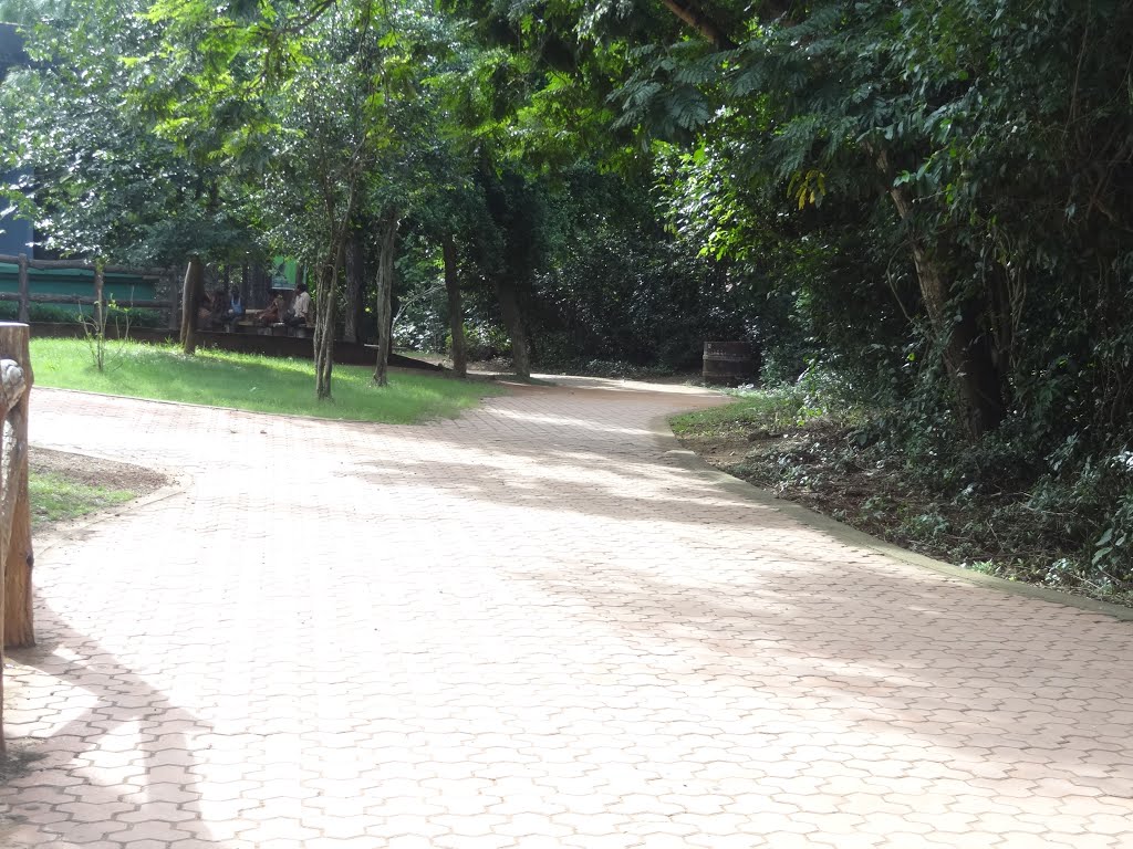 Nandan Kanan Zoological Park, Bhubaneswar, Odisha by sban1998