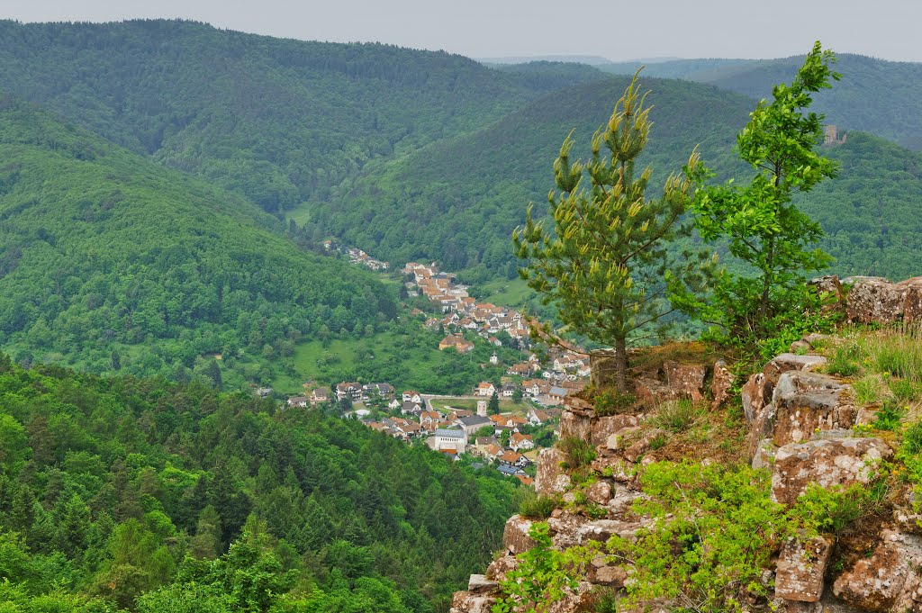 Blick von Ruine Neuscharfeneck nach Ramberg by schnauzerfreund