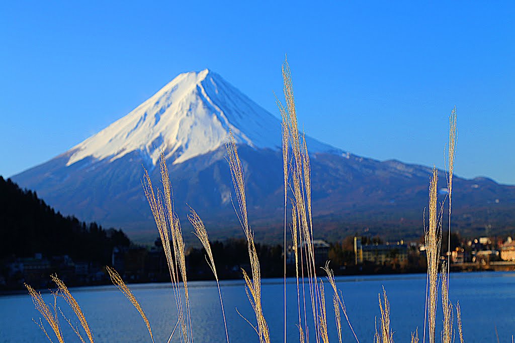 Azagawa, Fujikawaguchiko, Minamitsuru District, Yamanashi Prefecture 401-0303, Japan by Dần Lê