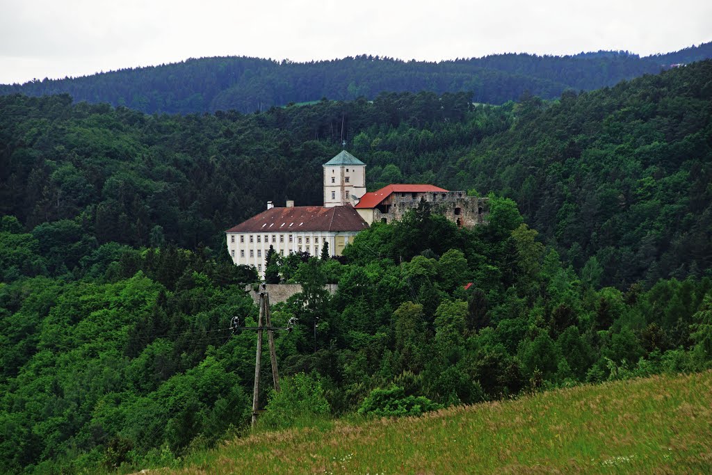 Schloss Riedegg by Karl Pallinger