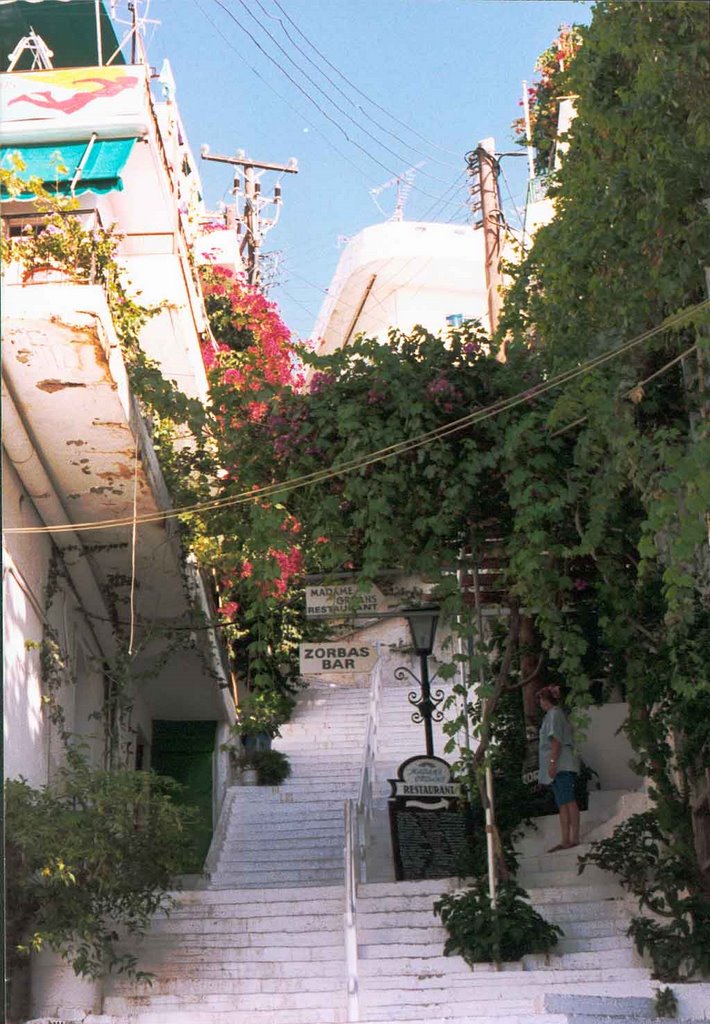 Treppe auf Kreta by Fotos-from-Architekt