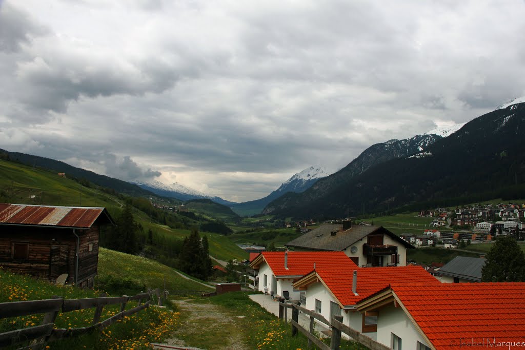 Savognin Region in Spring 2 by Isabel Marques