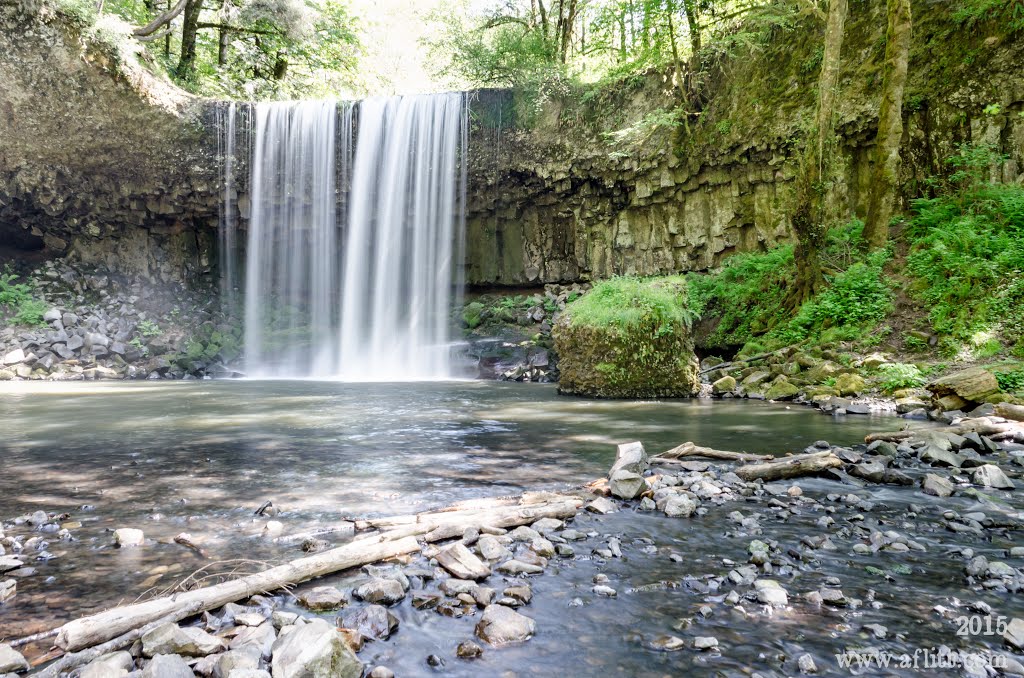 Beaver Falls and Log (2015) by A. F. Litt Creative