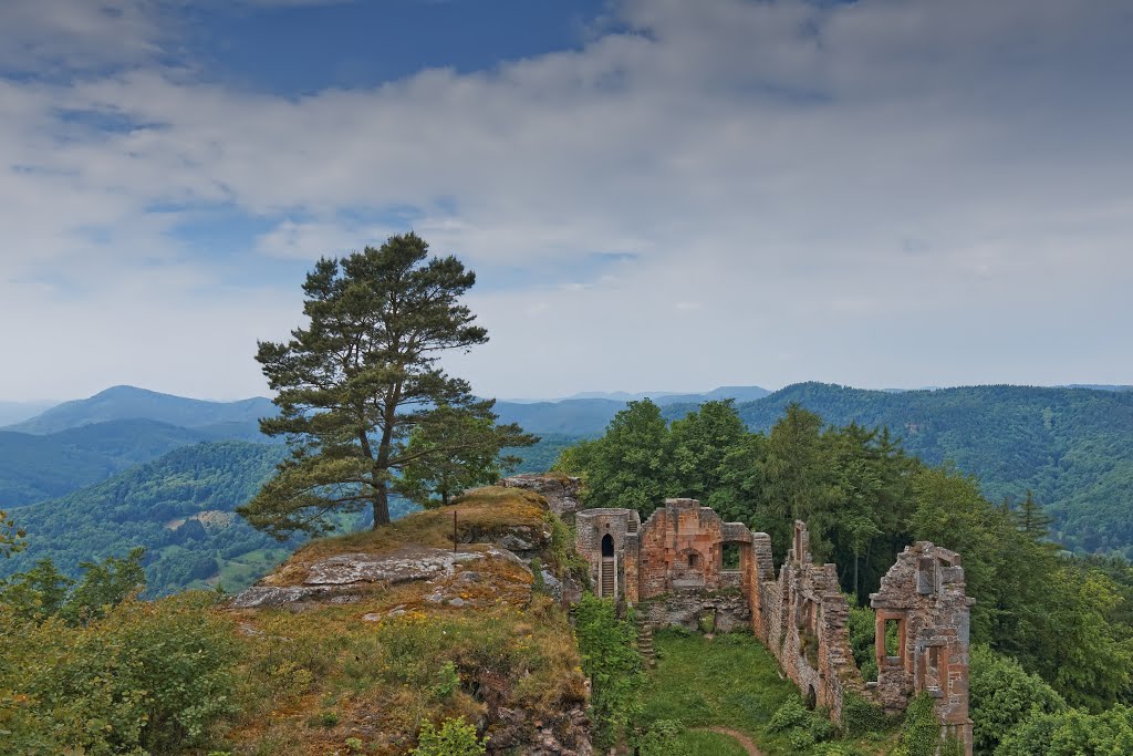 Ruine Neuscharfeneck by schnauzerfreund