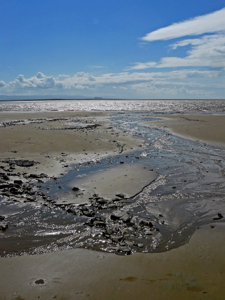 Following the Stream to the Sea - July 2008 by Michael Stuckey