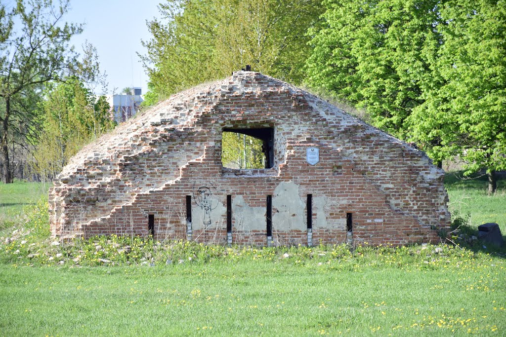 Babruysk, Belarus by Андрей Гудошников